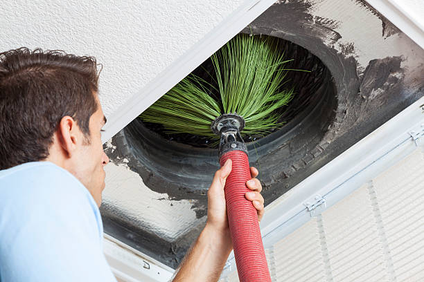 Best Affordable Air Duct Cleaning  in Greenup, IL